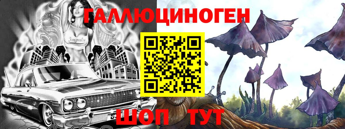 Пугачёв  Псилоцибиновые грибы Cubensis  Вход с VPN 